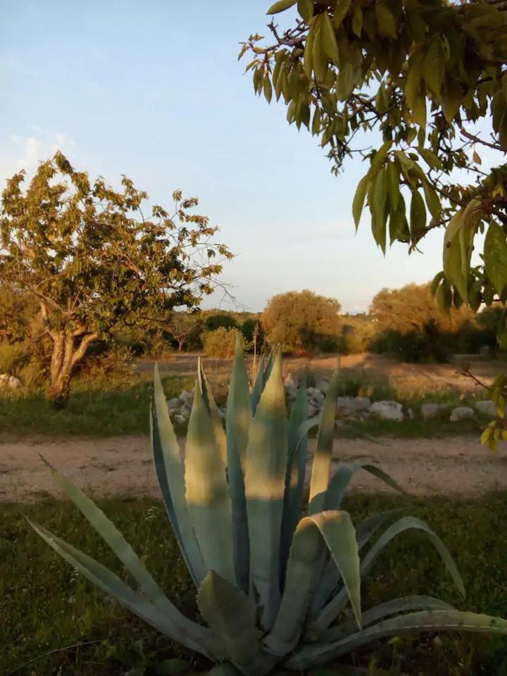 Masseria Fra Diavolo Guest House Castellana Grotte Exterior photo