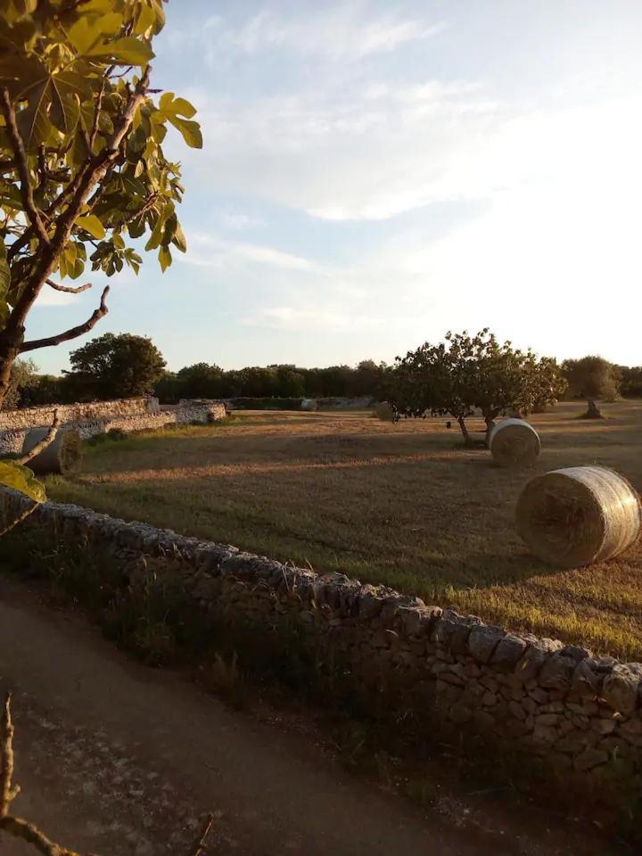 Masseria Fra Diavolo Guest House Castellana Grotte Exterior photo