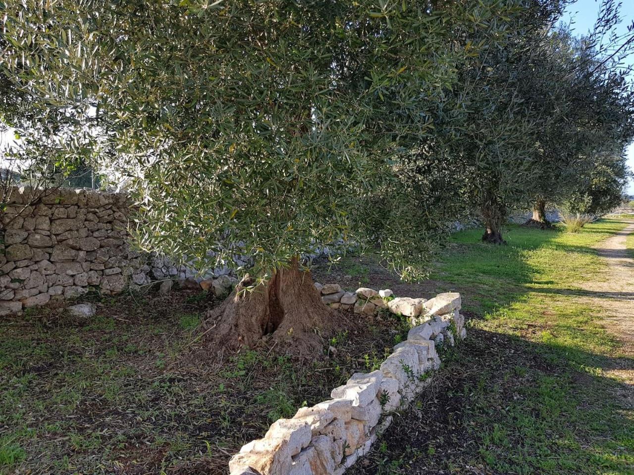 Masseria Fra Diavolo Guest House Castellana Grotte Exterior photo