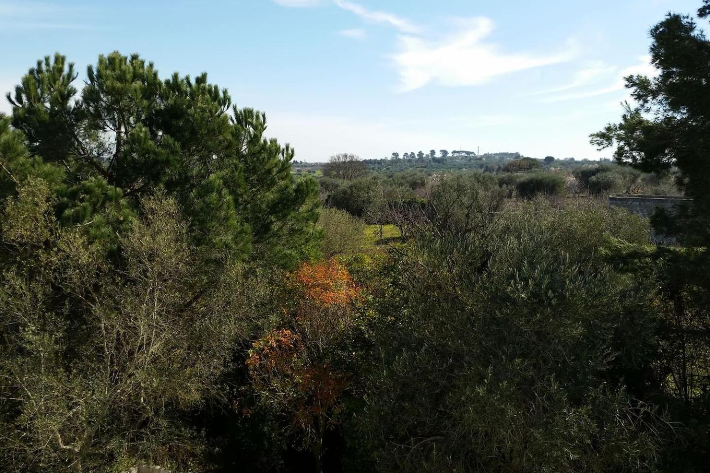 Masseria Fra Diavolo Guest House Castellana Grotte Exterior photo